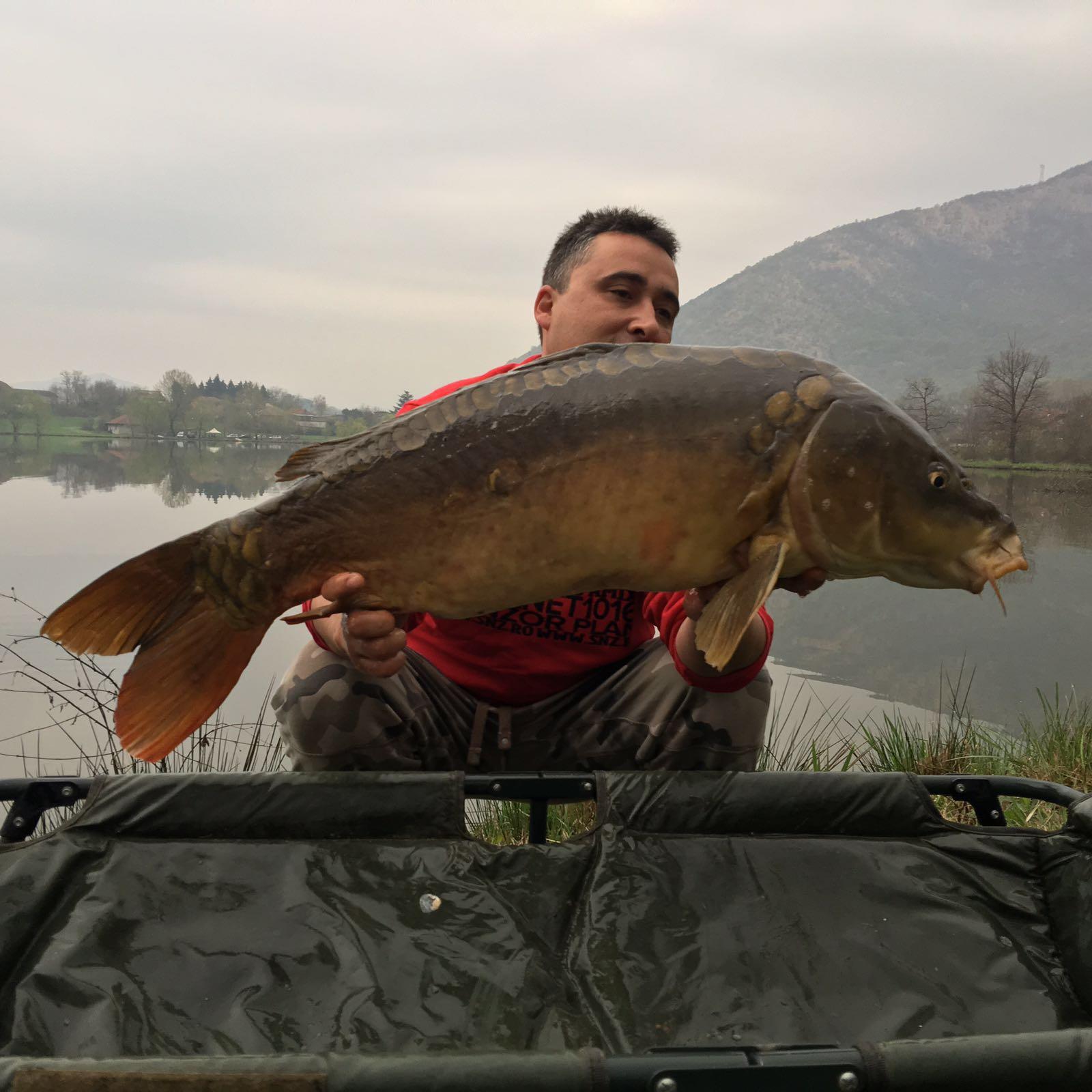 caselette 1 - 3 aprilie 2016